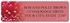 Inspirational Daisies Address Labels Image 2