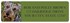 Schnauzer Address Labels Image 2