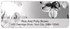 Dramatic Dogwoods Address Labels Image 4