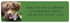 Australian Shepherd Address Labels Image 2