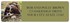 Cavalier King Charles Spaniel Address Labels Image 2
